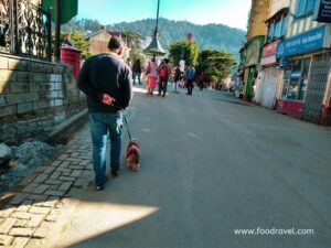 Things to do around Mall Road Shimla