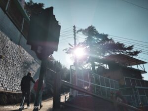morning in Shimla