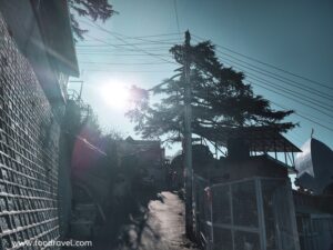 morning in Shimla