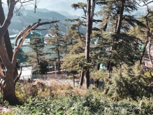 morning in Shimla