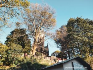 A Weekend Trip to Kasauli