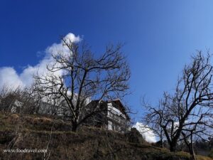 Trekking from Kotgarh to Thanadhar