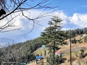 Trekking from Kotgarh to Thanadhar