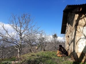 Trekking from Kotgarh to Thanadhar