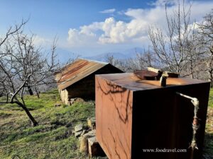 Trekking from Kotgarh to Thanadhar