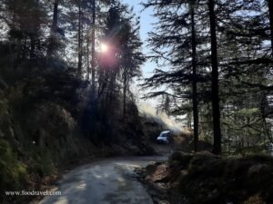 Trekking from Kotgarh to Thanadhar