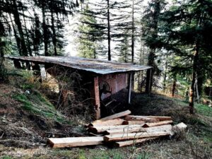 Trekking from Kotgarh to Thanadhar