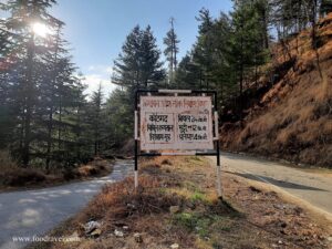 Trekking from Kotgarh to Thanadhar