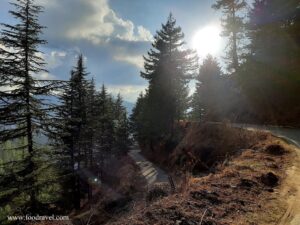 Trekking from Kotgarh to Thanadhar