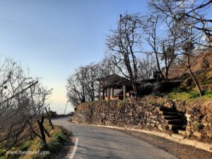 Trekking from Kotgarh to Thanadhar