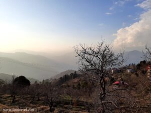 Trekking from Kotgarh to Thanadhar