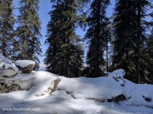 plan a weekend trip to Kotgarh