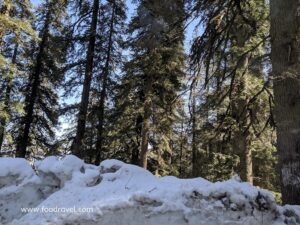 plan a weekend trip to Kotgarh
