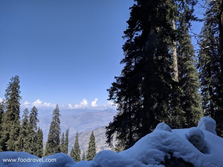plan a weekend trip to Kotgarh