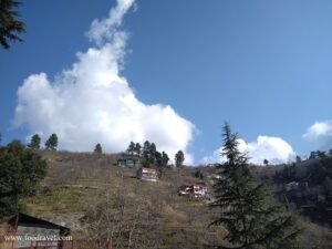 Trekking from Kotgarh to Thanadhar