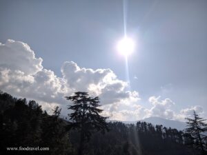 Trekking from Kotgarh to Thanadhar