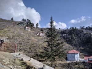 Trekking from Kotgarh to Thanadhar