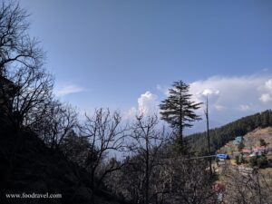 Trekking from Kotgarh to Thanadhar