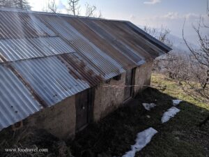 Trekking from Kotgarh to Thanadhar