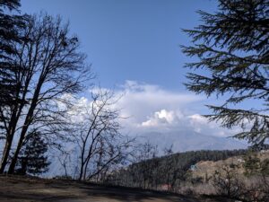 Trekking from Kotgarh to Thanadhar