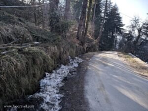 Trekking from Kotgarh to Thanadhar