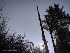 Trekking from Kotgarh to Thanadhar