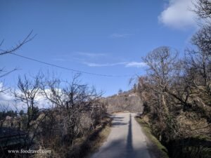 Trekking from Kotgarh to Thanadhar