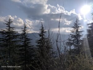 Trekking from Kotgarh to Thanadhar