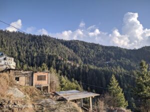 Trekking from Kotgarh to Thanadhar