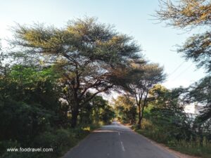 A Village Trip amid Lockdown