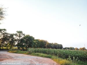A Village Trip amid Lockdown