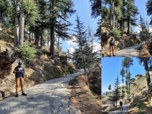 Trekking from Kotgarh to Thanadhar