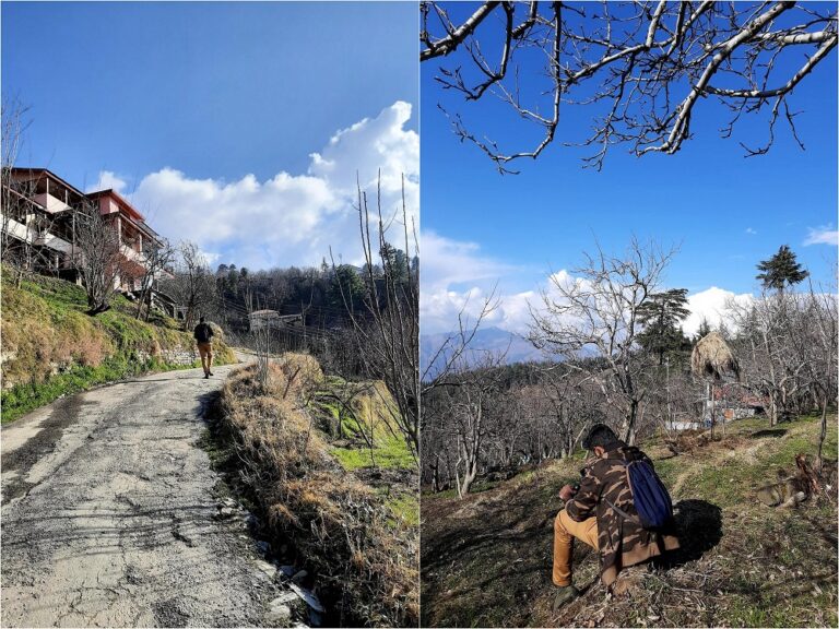 trekking from Kotgarh to Thanadhar