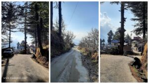 Trekking from Kotgarh to Thanadhar