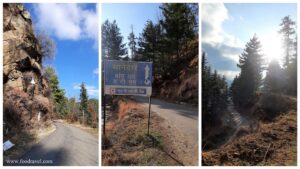 Trekking from Kotgarh to Thanadhar