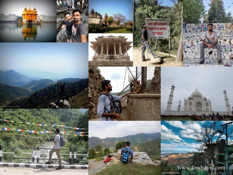 12 trips in 12 months