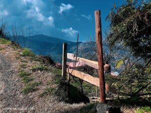 things to do in Kotgarh