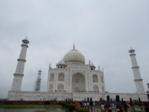12 trips in 12 months