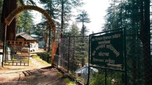 things to do in Kotgarh