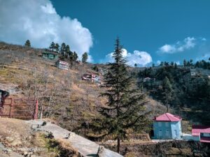 things to do in Kotgarh