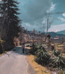 things to do in Kotgarh