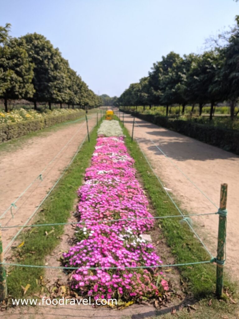 Mehtab Garden 