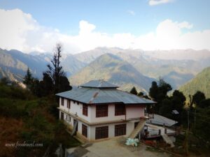 support local tourism