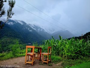 cafe stories n more
