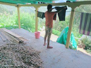 homestays in shangarh