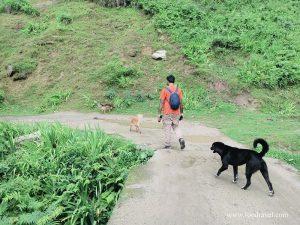 waterfall in shangarh