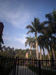 IMG_20201220_152703_BurialYes