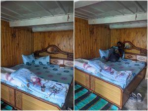 budget homestay in shangarh