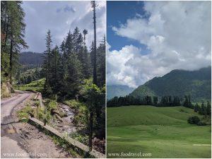 solitude in shangarh