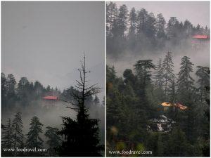 solitude in shangarh